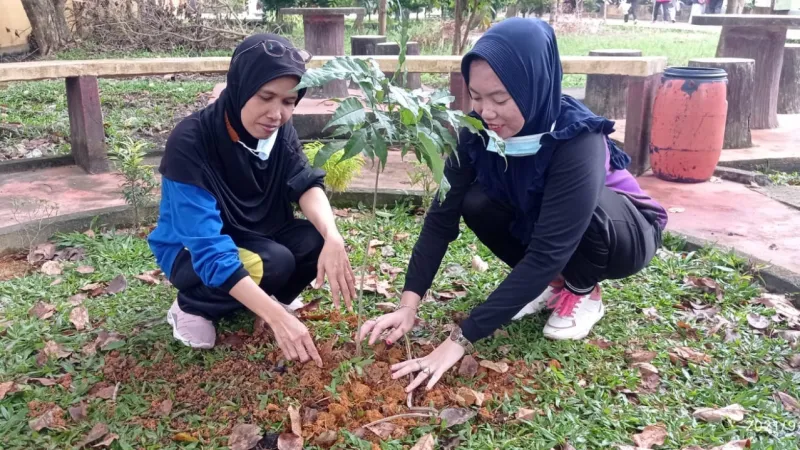 Kegiatan Penanaman Pohon di Lingkungan Sekolah