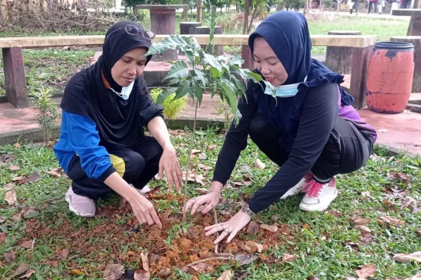 Kegiatan Penanaman Pohon di Lingkungan Sekolah